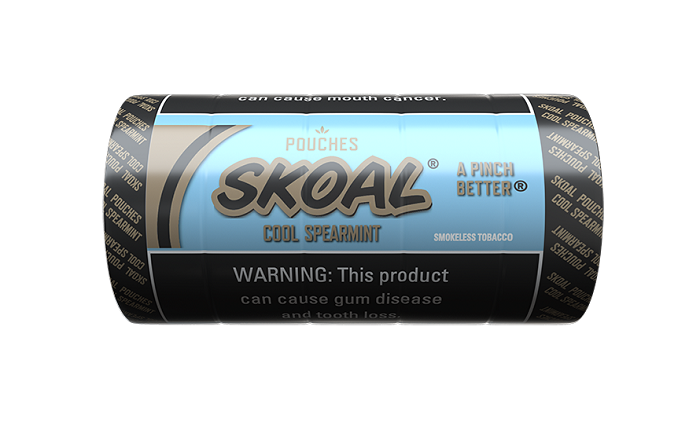Skoal cool spearmint pouches 5ct 0.82oz